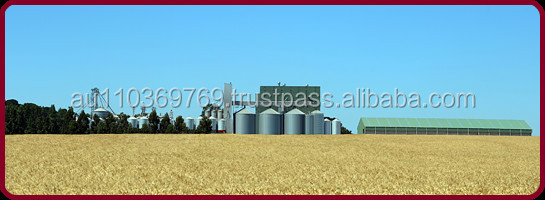 Quality Rolled Oats From Australia