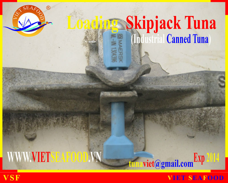 LOADING SKIPJACK TUNA W/R