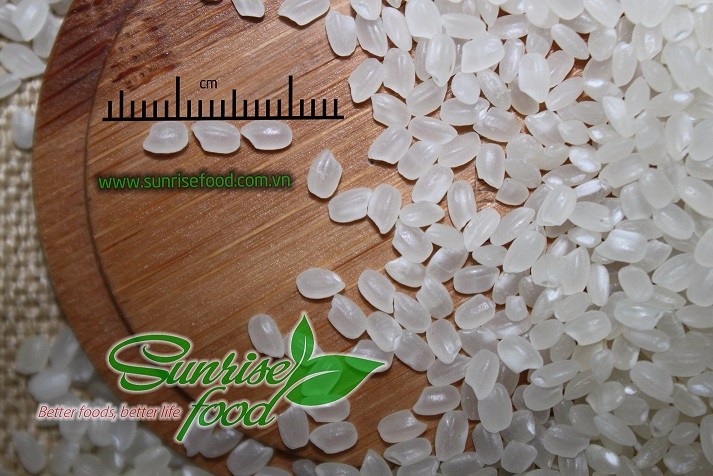 Round Rice Japonica.jpg