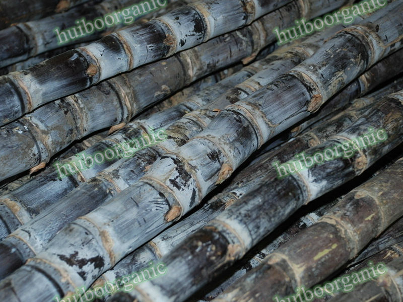 Sugar Cane Extract Policosanol / Sugar Cane Wax Extract Octacosanol