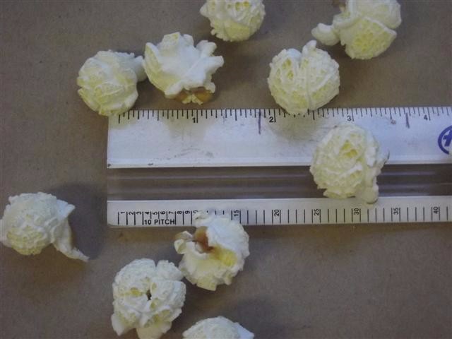 Popcorn kernel
