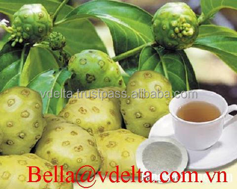 NONI JUICE CONCENTRATE