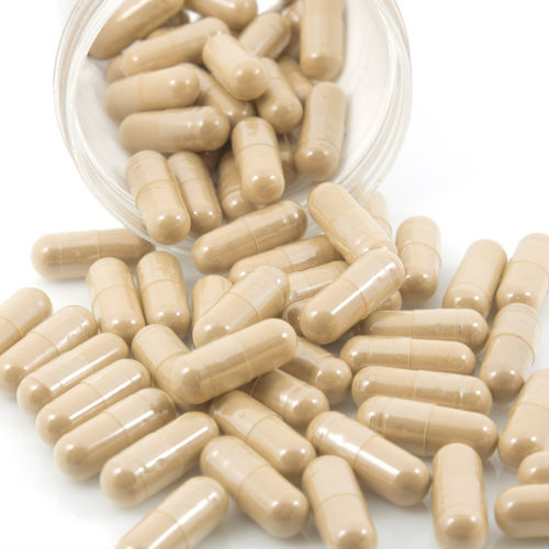 GMP Coleus Forskohlii Extract 20% Forskolin Food Supplement
