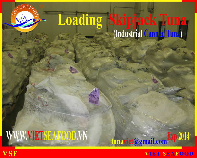 LOADING SKIPJACK TUNA W/R