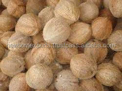 fresh coconuts
