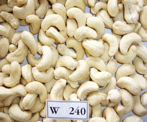 Raw cashew nuts/ Cashew Kernels/ WW320/450/240/SW/BW/LBW/LP/SP,South