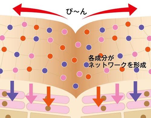 midcheekline cream-4