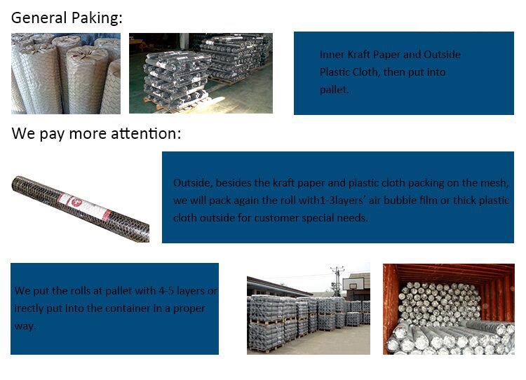machine manufacturing hexagonal wire mesh