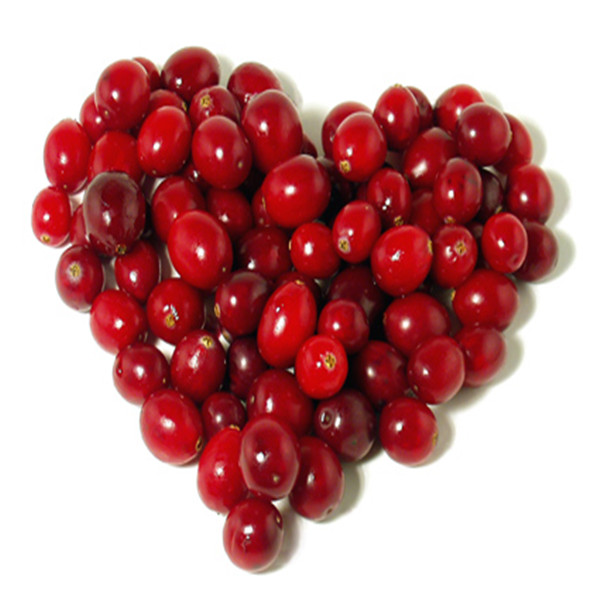 TTN 2014 export price red dried cranberry extract