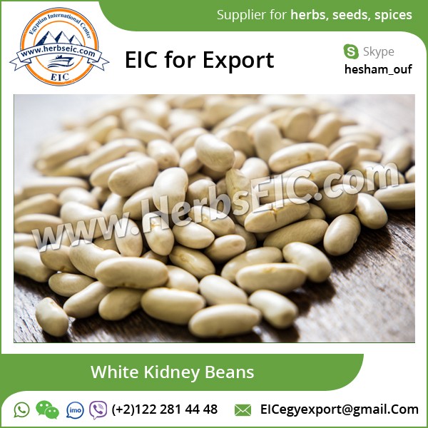 medium white kidney beans white beans factory supplier