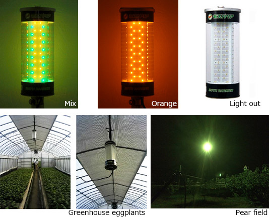 革新的な抗昆虫ライトトラップ蛾日本製led仕入れ・メーカー・工場