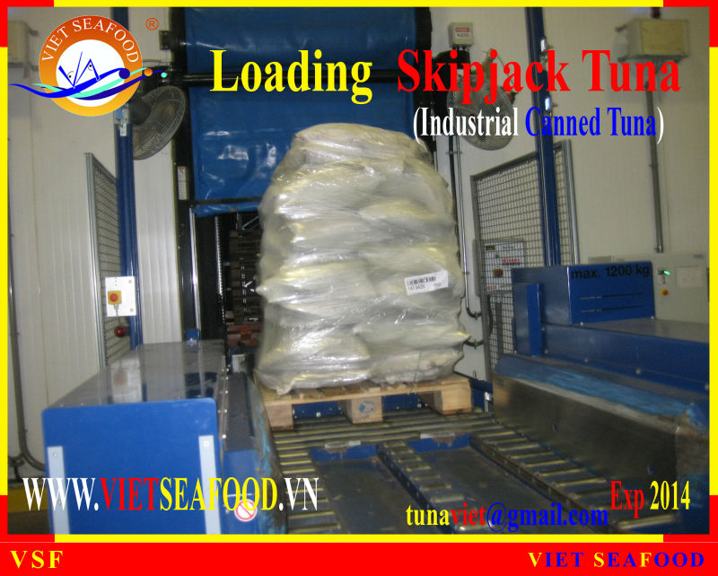 LOADING SKIPJACK TUNA W/R