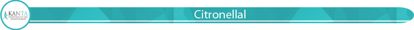 citro title.jpg