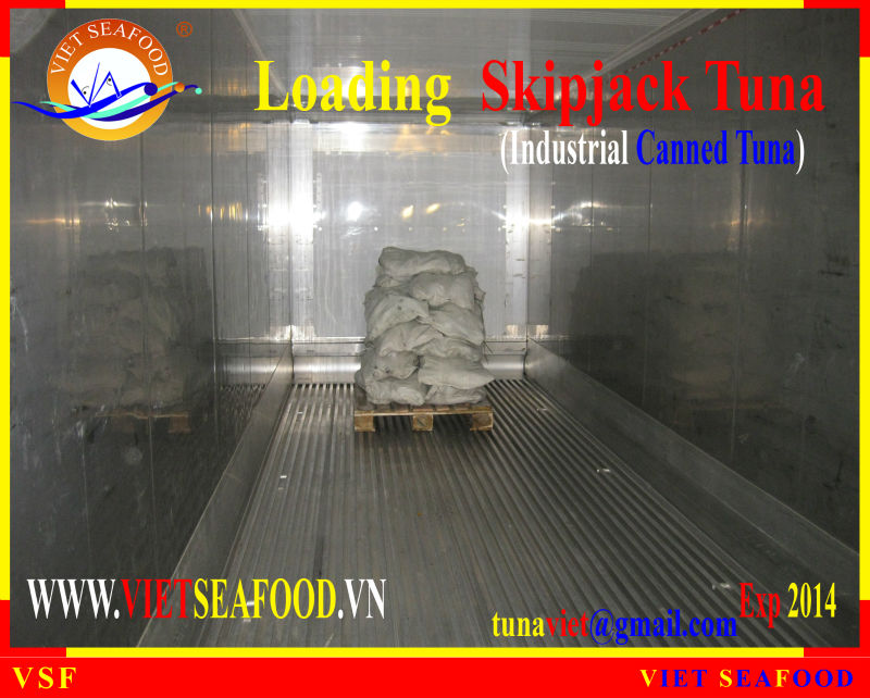LOADING FROZEN SKIPJACK TUNA W/R