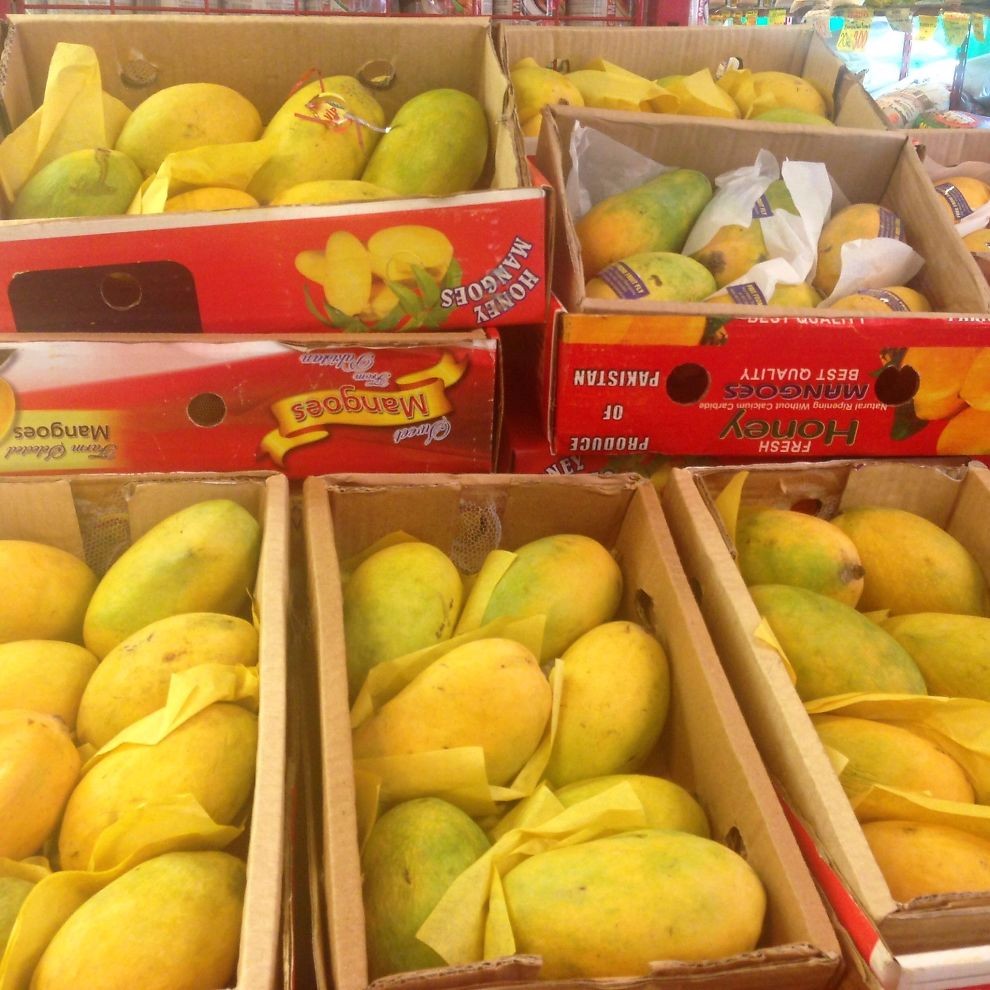 Sindhari Mango From Pakistan Buy Fresh Farm Mangoes