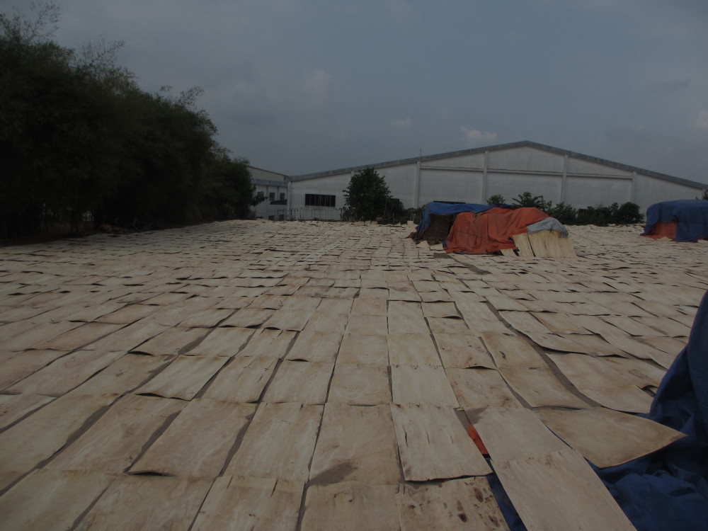 コアベニヤ用作る合板水分18%からベトナム 問屋・仕入れ・卸・卸売り