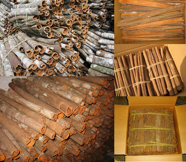 BEST PRICE OF VIETNAM CASSIA/ CINNAMON POWDER