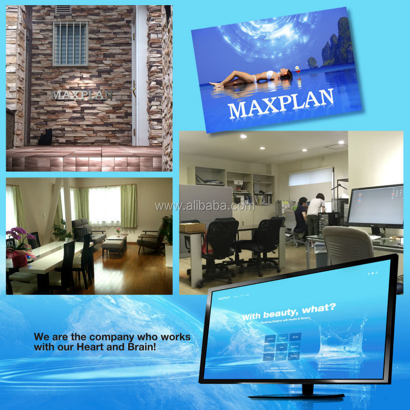 maxplan-01