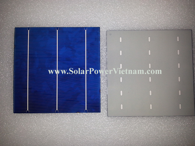 solar world - solar poly cell copy (1).png