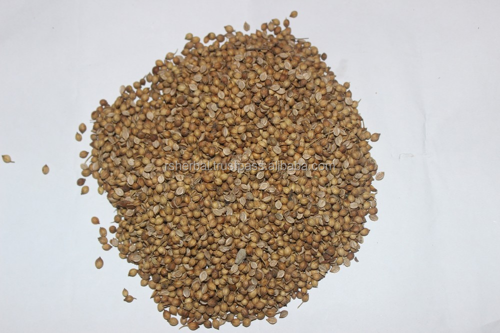 coriander indonesia coriander seed buy coriander coriander coriander product coriander indonesia coriander seed buy coriander coriander coriander product