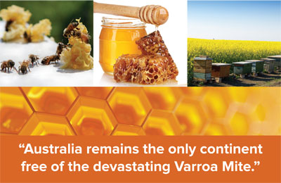 Australian by Nature Stringy Bark Honey (500g) Uniquely Australian Natural Healthy