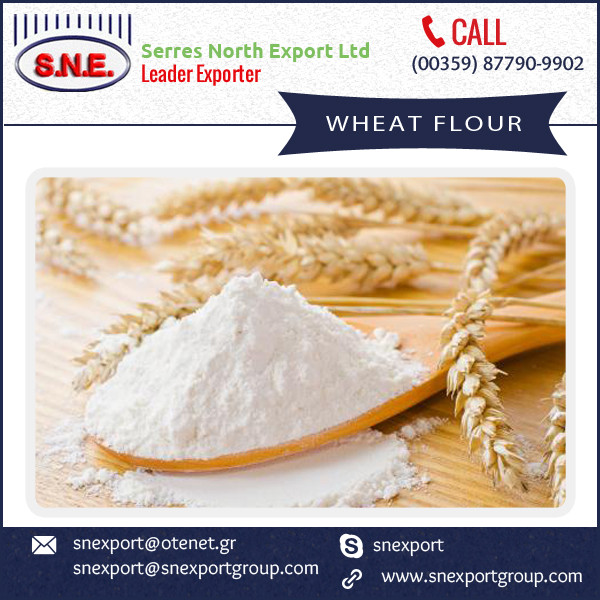 high quality wheat flour available from best selling company