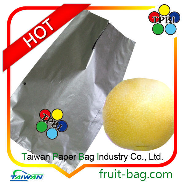 成長しているアボカドバッグ台湾が成長するための紙製の袋仕入れ・メーカー・工場