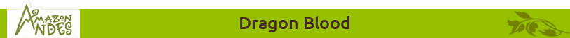 dragon title.jpg