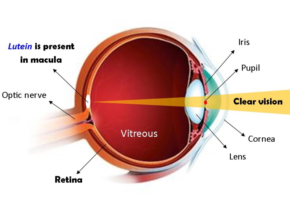 Cellglo Crystal Eye Eye Care Revolution