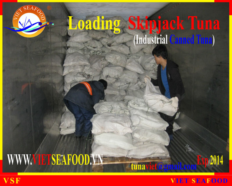 LOADING FROZEN SKIPJACK TUNA W/R