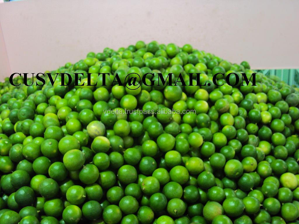 Fresh Lime (Seedless)