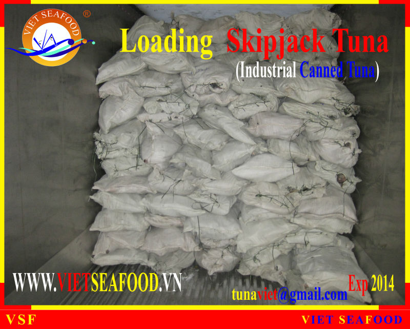 LOADING FROZEN SKIPJACK TUNA W/R
