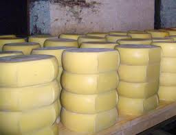 kashkaval cheese Block