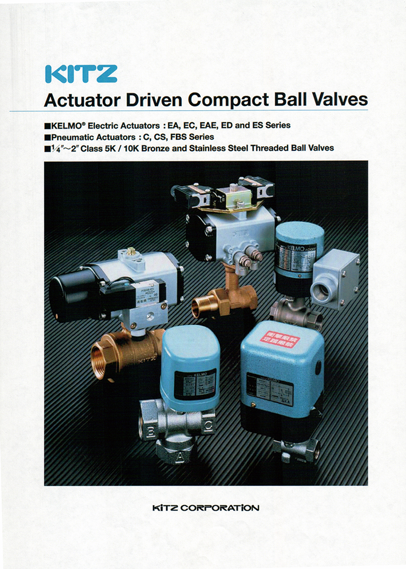 electric valve01.jpg