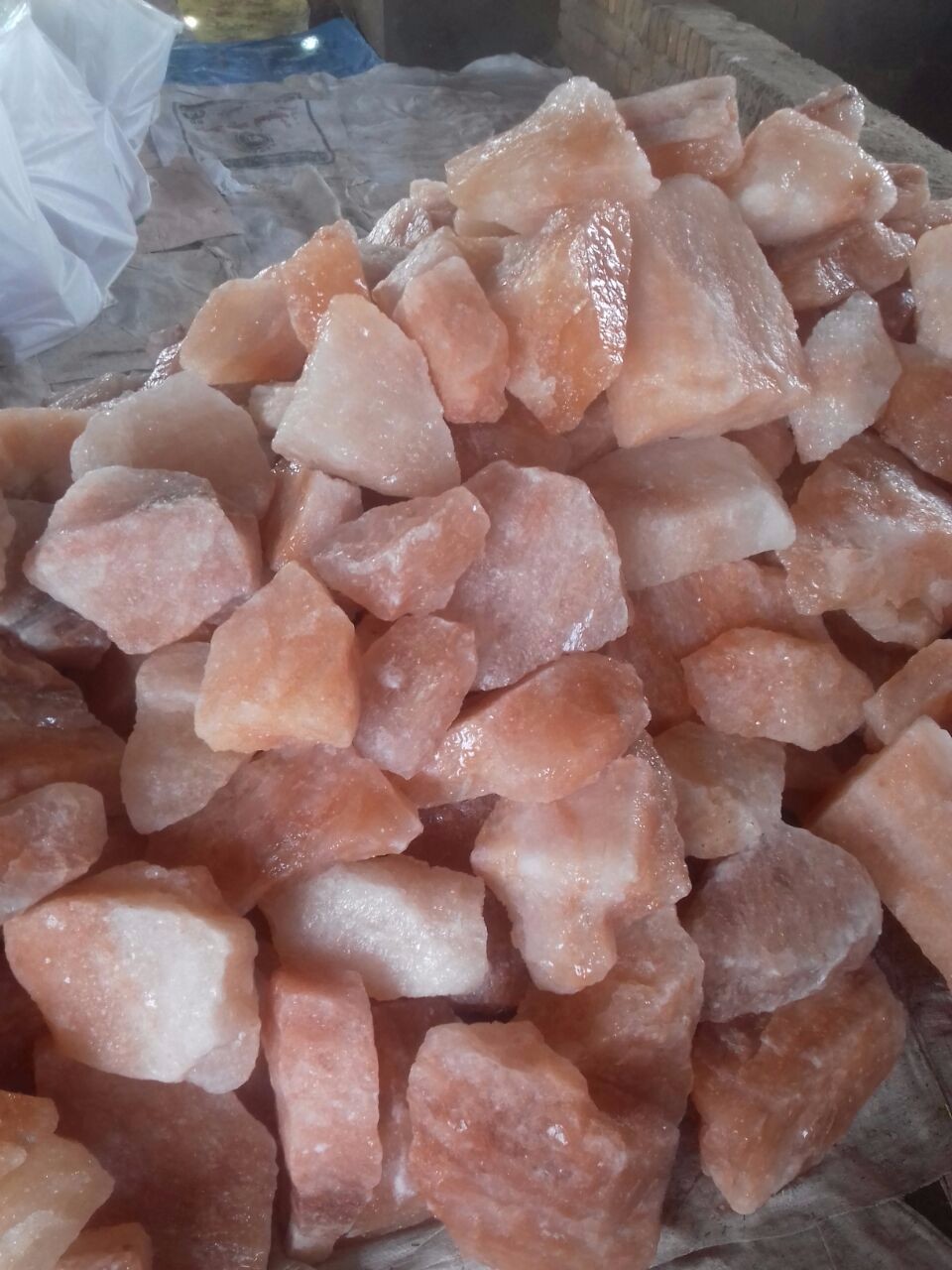 Salt Animal licks 5.jpg