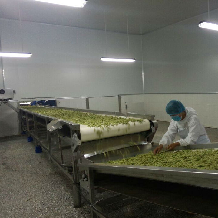 IQF GREEN SOYBEAN Frozen Edamame