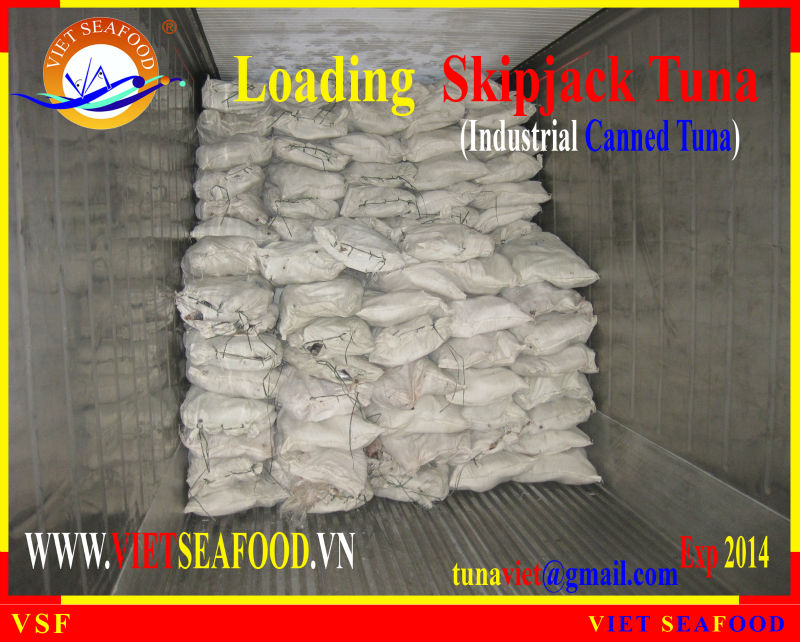 LOADING FROZEN SKIPJACK TUNA