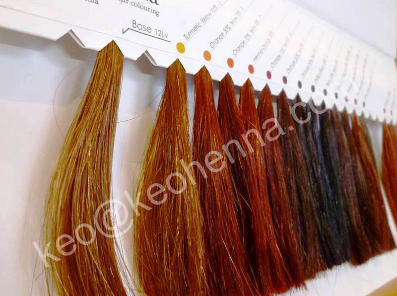 インドからの製品のヘナの髪の色 問屋・仕入れ・卸・卸売り