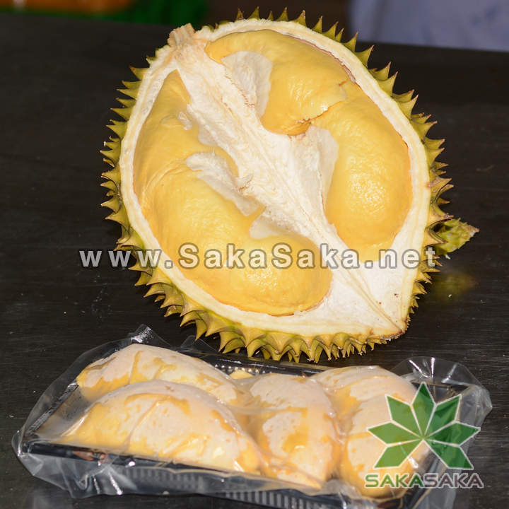 frozen-durian-vietnam.jpg
