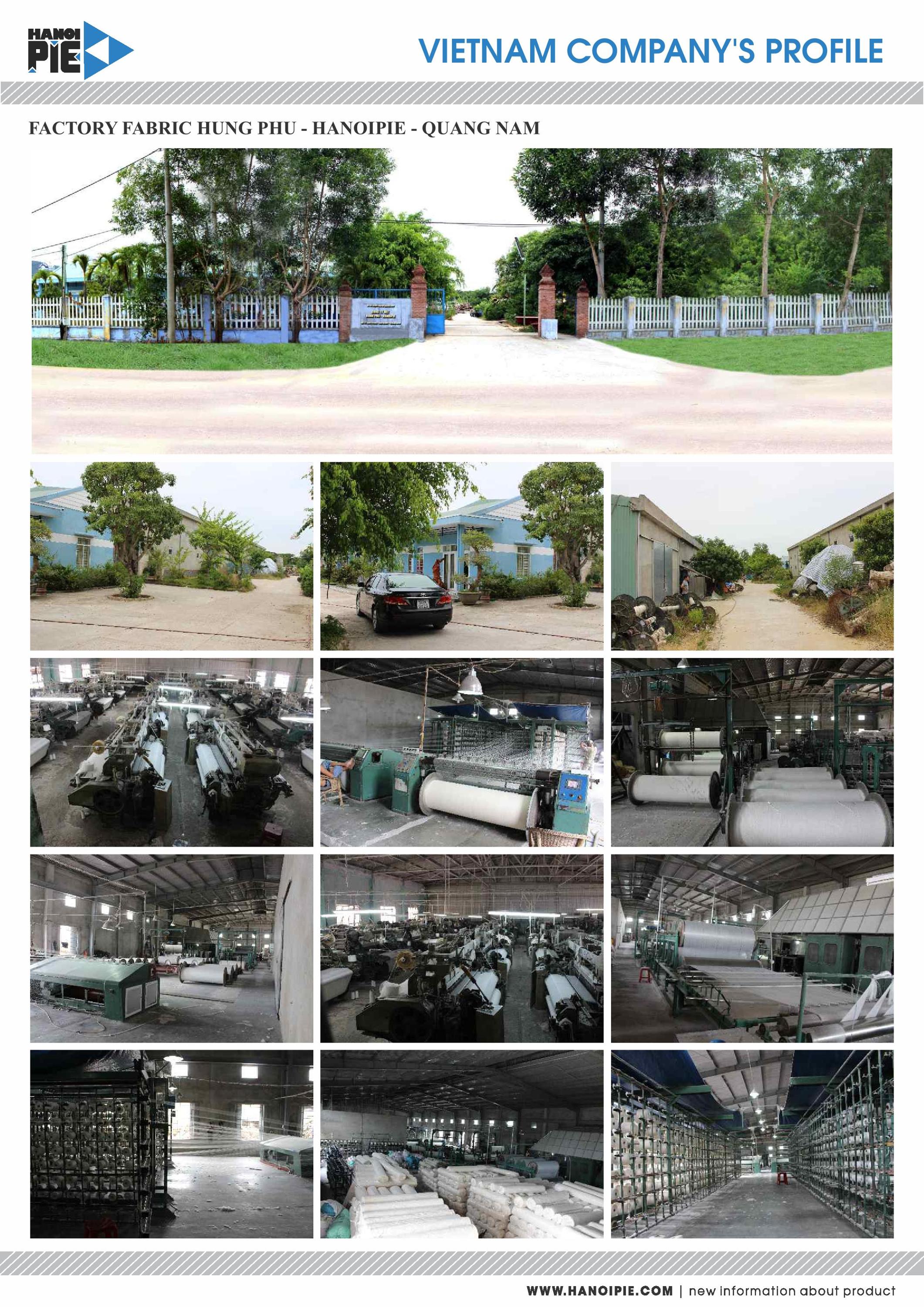 Profile HanoiPie 11.2016-page-005.jpg