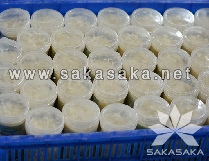 frozen-soursop-8.jpg