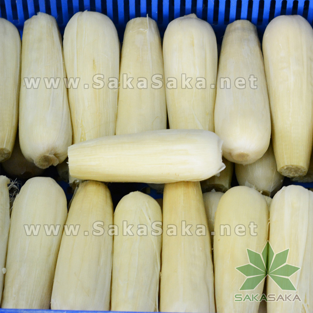 white-corn_02.jpg