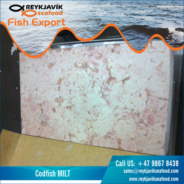 Codfish MILT.jpg