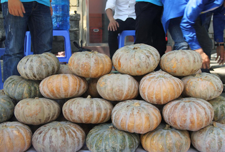 pumpkin-vietnam.jpg