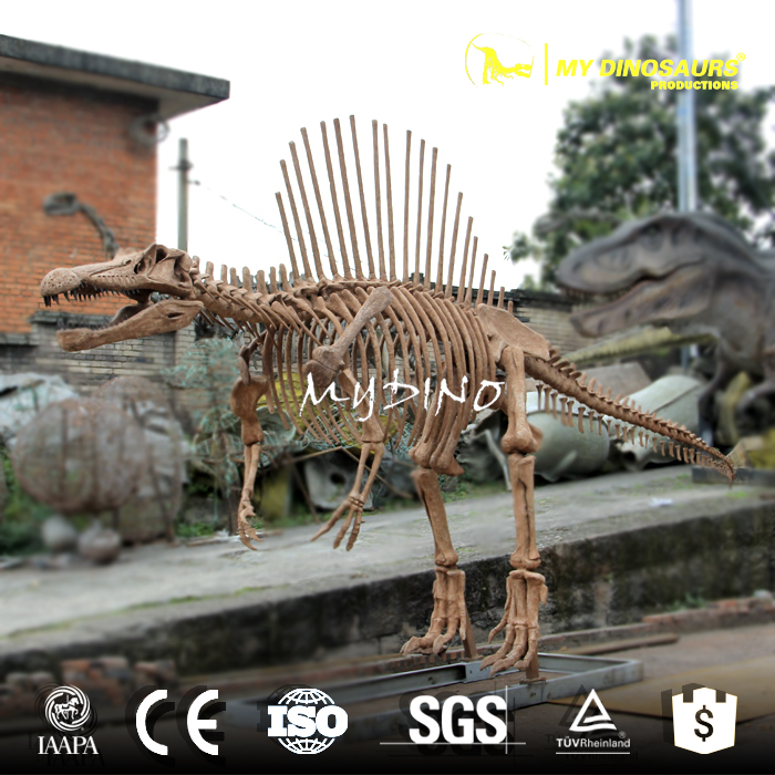 spinosaurus skeleton (2).jpg