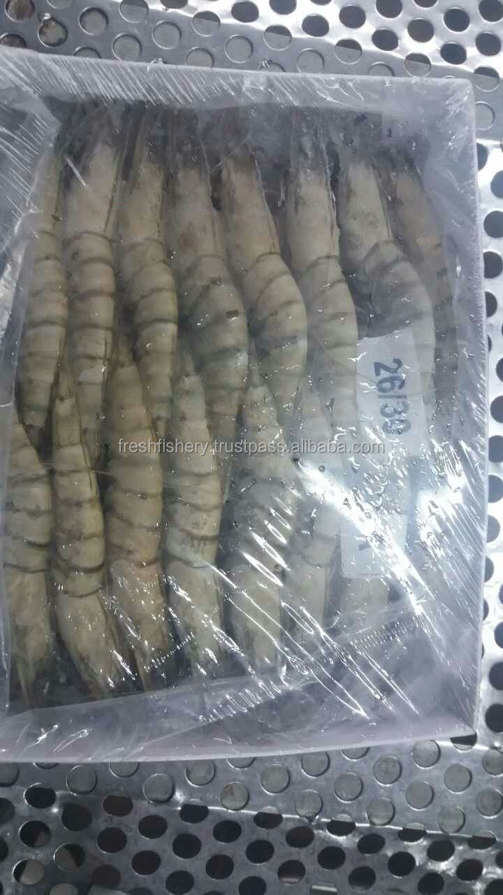 black tiger prawn shrimp price