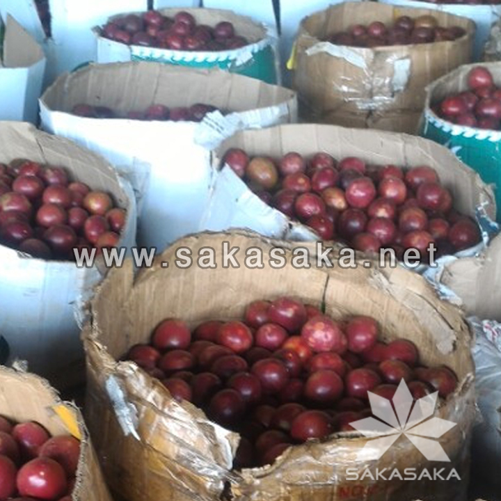 passion-fruit-w.jpg
