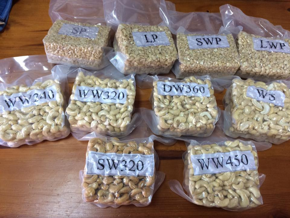 cashew.jpg