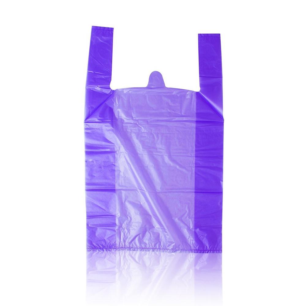 purple bag.jpg