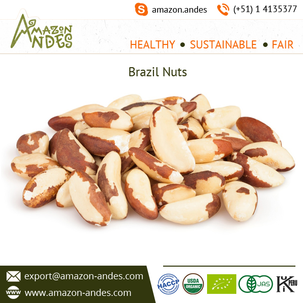 Brazil Nuts 2.jpg